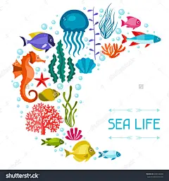 海洋生物背景设计与海洋动物。-动物/野生生物,自然-海洛创意(HelloRF)-Shutterstock中国独家合作伙伴-正版素材在线交易平台-站酷旗下品牌
