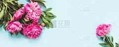 粉白色牡丹花束，镜框为淡蓝色。副本的空间。空间的文本。