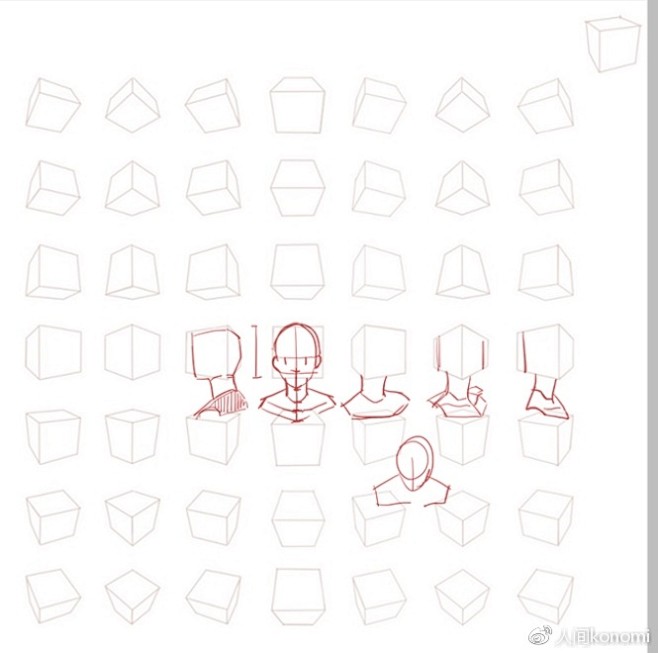 五张图解决头颈肩画法