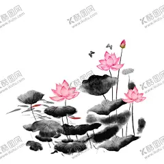 荷花 【酷图网】水墨荷花,荷叶,荷花,水墨画,夏季