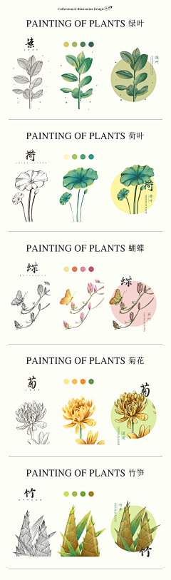 藤野J采集到植物水果