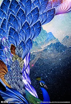 彩色绚丽手绘孔雀插画psd分层