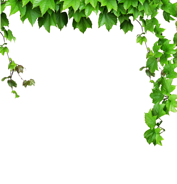 ps学习区四月全月活动免抠素材大放送ps学习区九六城堡