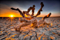 Google+