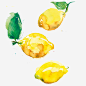柠檬果色彩画片高清素材 柠檬果 水彩画 水果 绿叶 黄色 免抠png 设计图片 免费下载