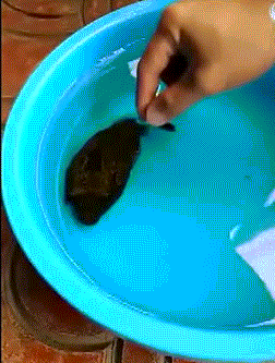 252_333竖版 竖屏gif 动态图 动图