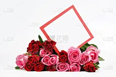 玫瑰和情人节卡片