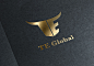 TE Global