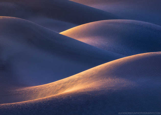 Evening's Elegy : <a...