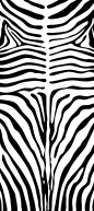 免扣底纹
