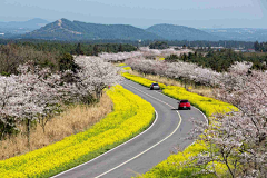 贺-小仙女采集到道路