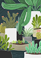 Food & Drink / Plants / Animals - Kelsey King Illustration