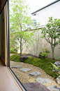 コケの築山が美しい曲線を描く #JapaneseGarden