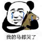 我的马都哭了-沙雕马-沙雕马表情包-逗比表情包.jpg