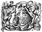 来自Olivia Knapp 的黑白插画作品～ 惊人的是，她直接以手绘的方式模仿16-17世纪欧洲铜版画大师们的精湛排线！重点是她做到了，多么稳定的手腕啊！（oliviaknapp.com）【相关推荐：http://weibo.com/3931672306/AAkzM53IJ】