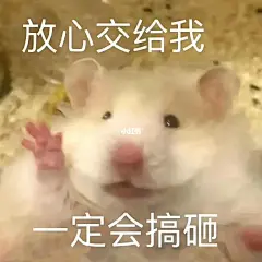 我的WeChat不能没有鼠鼠表情包