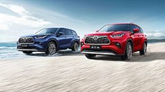 喵出没采集到丰田