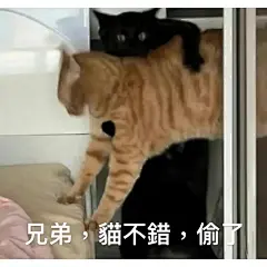 来自相册