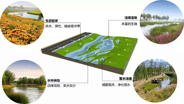 河道改造
施工过程