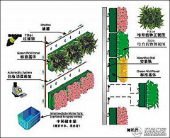 熊喵333采集到垂直绿化