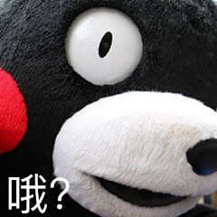 天生丽质的佩佩采集到有些东西就是萌萌哒