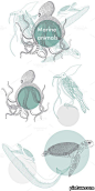 手绘乌龟 海洋生物 手绘章鱼
乌龟创意图案_0