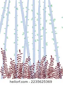 水彩手绘插画清新装饰创意插画春天夏天植物叶子树林绿色红色
