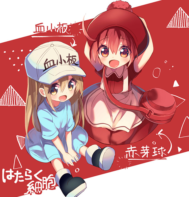 工作细胞血小板红血球