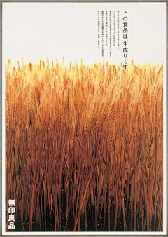 DORRITY采集到海报