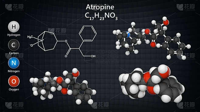 阿托品(Atropen)是一种用于治疗某些类型神经毒剂的药物。C17H23NO3。化学结构模型:球棍素材-花瓣网