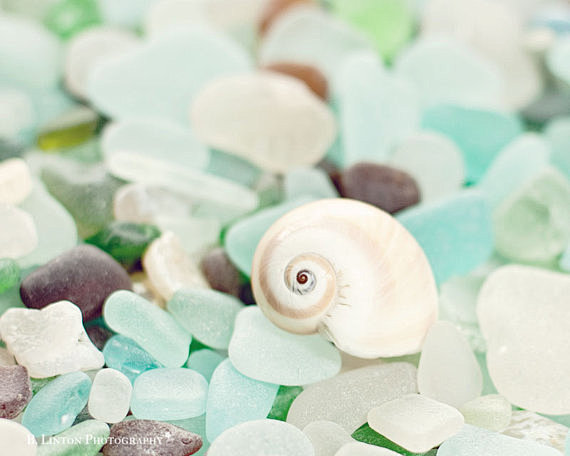 Beach Glass Photogra...