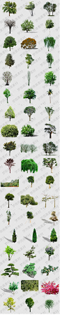园林园艺景观乔木png格式透明底免抠元素图片设计素材-淘宝网