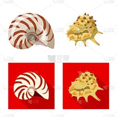 分离着色,动物,品牌名称,一个物体,鸡尾酒,自然,螺线,海产,装饰,收集