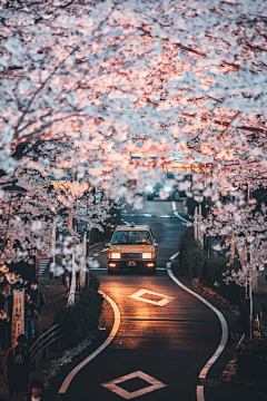 『沉眠』采集到景