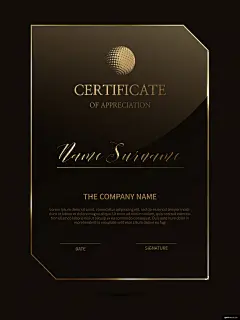 几何边框 授权证书 任命书 荣誉证书 简约 亚克力 证书卡片名片平面设计