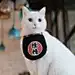 若木须臾