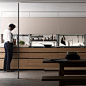 Kitchen cabinet - New Logica System / Valcucine | ArchDaily Materials