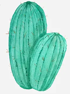冒险家的旅程植物仙人掌插画水彩手绘彩铅小清新插画3高清素材 高清 设计图片 免费下载 页面网页 平面电商 创意素材 png素材