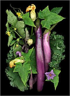花之物语flowerwuyu采集到Ellen · Hoverkamp摄影蔬果