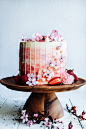 Strawberry and Vanilla Bean Cake —