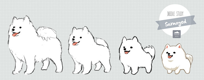 dost_samoyed_s.JPG