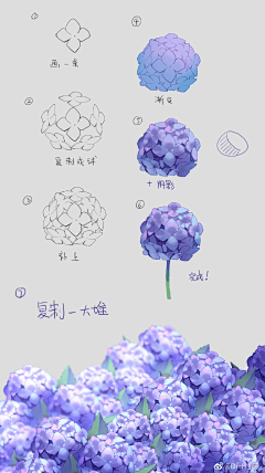 RARIO昂采集到教程