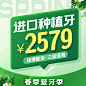 春季  头图