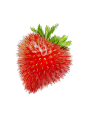 草莓2