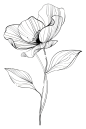 花艺设计-浮花单色线条画