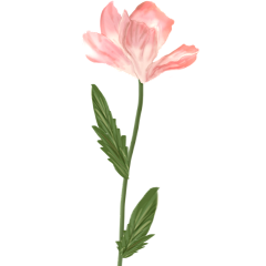 WEIHUASHE_采集到杂七杂八