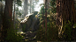 UE4 Redwood Forest V2 Update, Willi Hammes : Latest updated version of the procedural giant sequoia forest in Unreal Engine 4. Tones of new assets and massive tweaks to all textures and materials. The updated pack is now available via cgtrader: https://ww