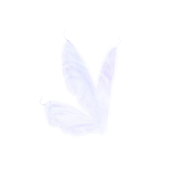 蝴蝶翅膀
