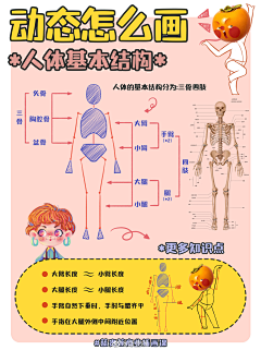 柚子皮夹克采集到画法