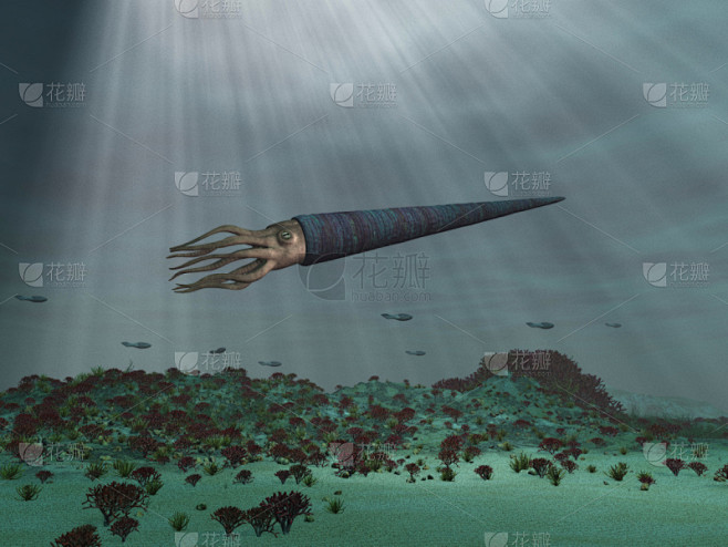 海洋,奥陶纪,古生代,化石,章鱼,鱿鱼,已灭绝生物,史前时代,头足类动物,水